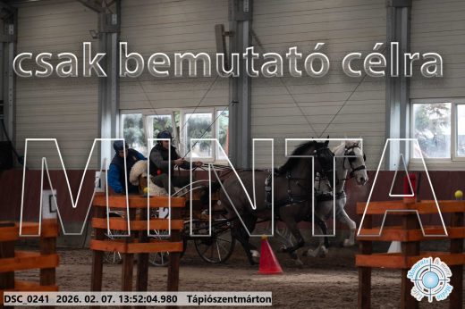 Mintakép 20260207-488
