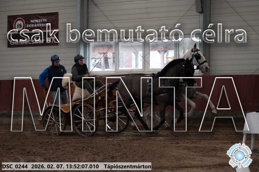 Mintakép 20260207-491