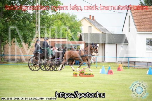 Mintakép 20260614-168
