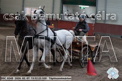 Mintakép 20260207-495