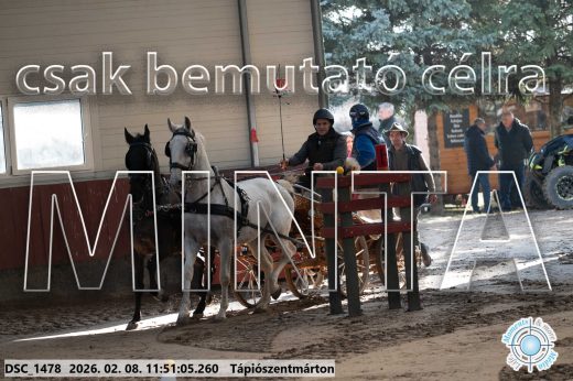 Mintakép 20260208-738
