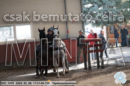 Mintakép 20260208-739