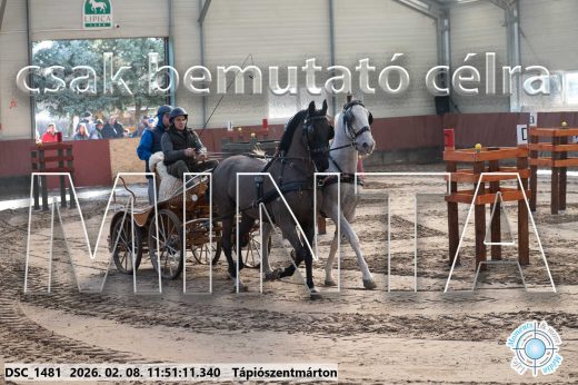 Mintakép 20260208-741