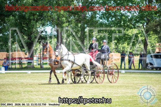 20260612-113132-DSC_8941.jpg