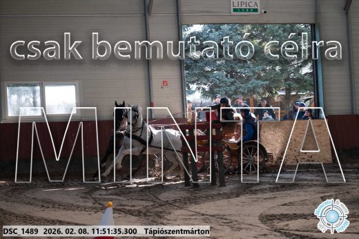 Mintakép 20260208-749