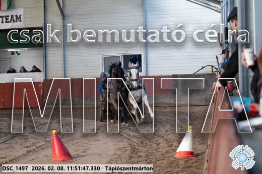 Mintakép 20260208-757