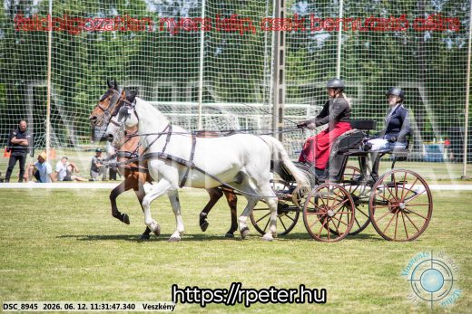 20260612-113147-DSC_8945.jpg