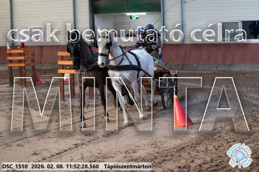 Mintakép 20260208-770