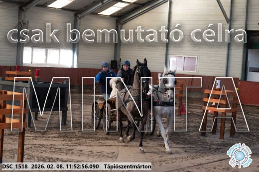 Mintakép 20260208-778
