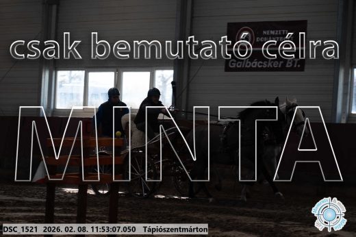 Mintakép 20260208-781