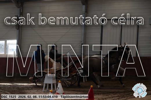 Mintakép 20260208-785