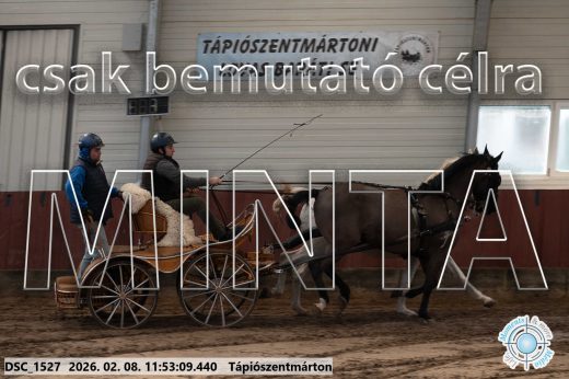 Mintakép 20260208-787