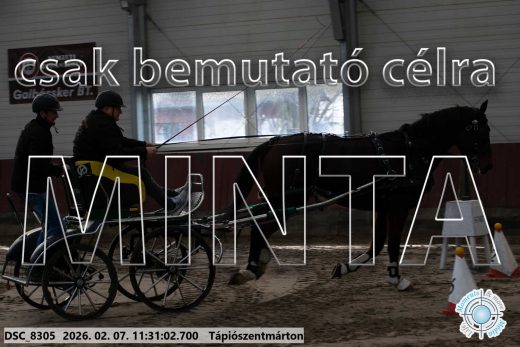 Mintakép 20260207-499