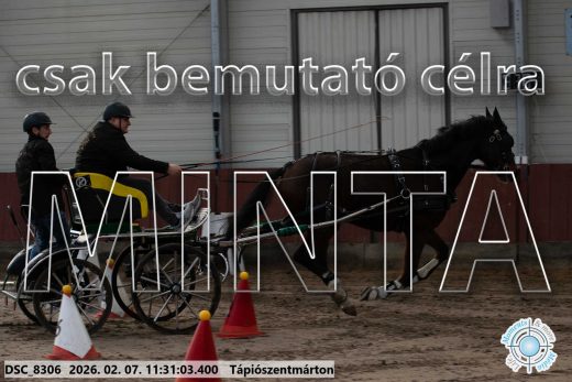 Mintakép 20260207-500