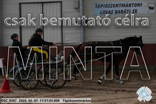Mintakép 20260207-501