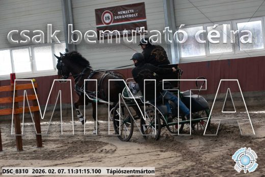 Mintakép 20260207-504