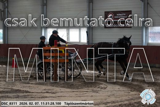 Mintakép 20260207-505