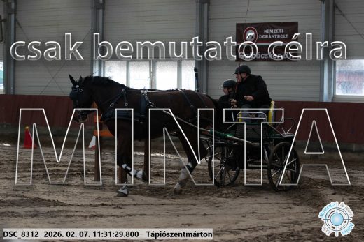Mintakép 20260207-506