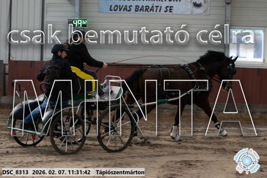 Mintakép 20260207-507