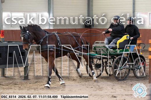 Mintakép 20260207-508