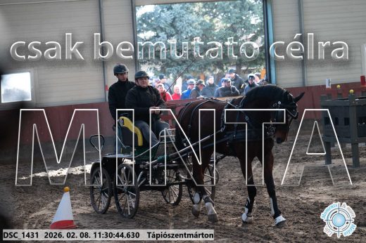 Mintakép 20260208-791