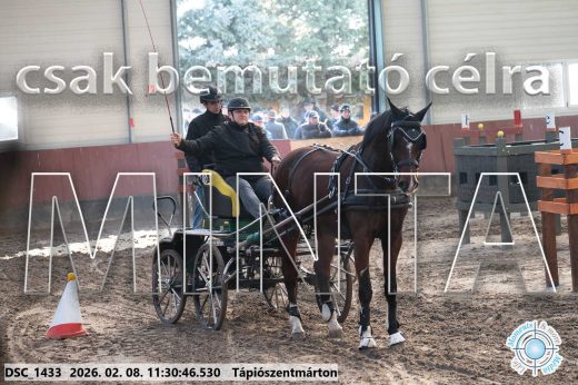 Mintakép 20260208-793
