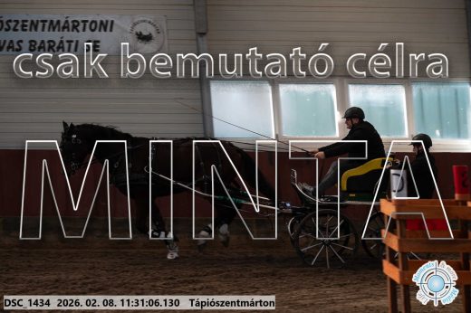 Mintakép 20260208-794