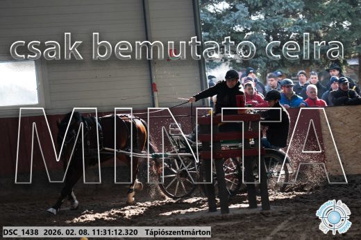 Mintakép 20260208-797