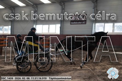 Mintakép 20260208-798