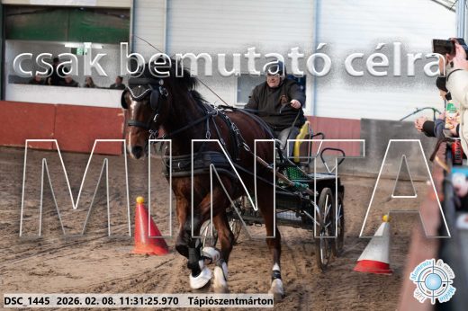 Mintakép 20260208-802