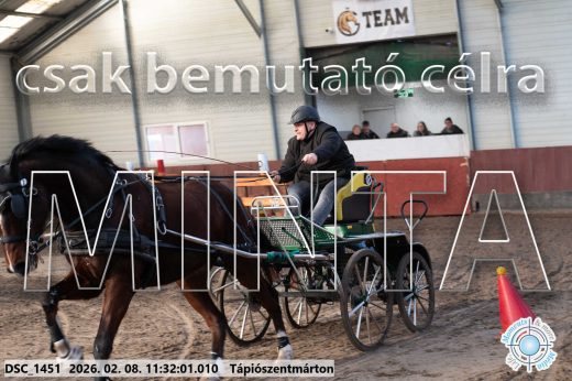 Mintakép 20260208-804