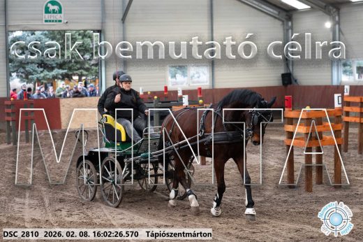 Mintakép 20260208-806
