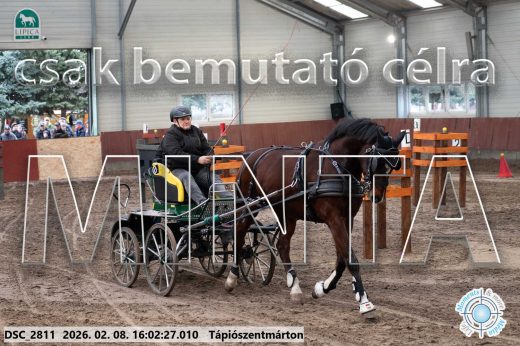 Mintakép 20260208-807