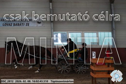 Mintakép 20260208-808