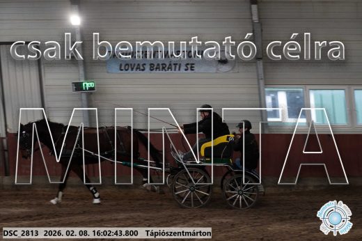 Mintakép 20260208-809