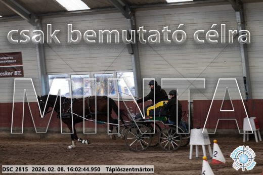 Mintakép 20260208-811