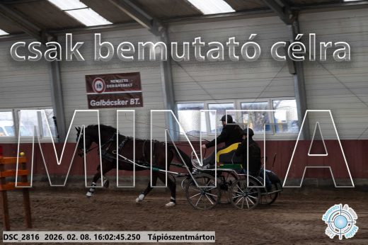 Mintakép 20260208-812
