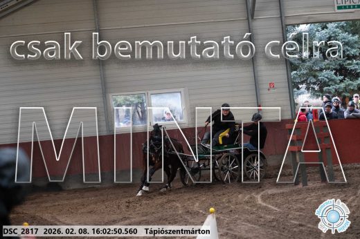 Mintakép 20260208-813