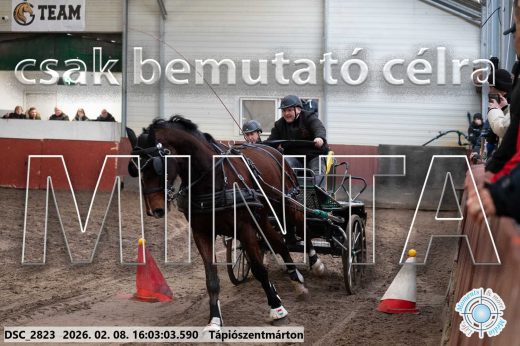 Mintakép 20260208-819