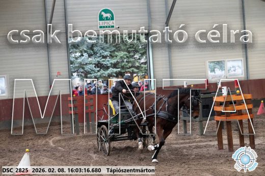 Mintakép 20260208-821