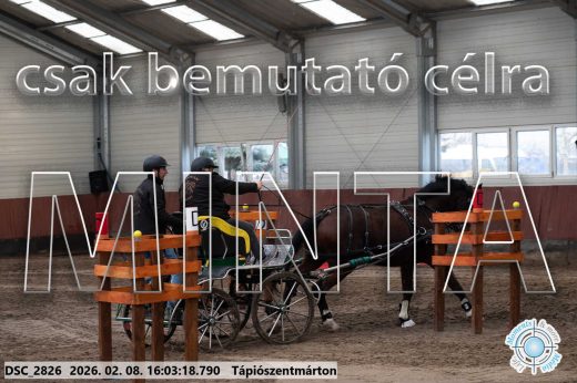 Mintakép 20260208-822