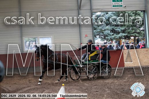 Mintakép 20260208-825