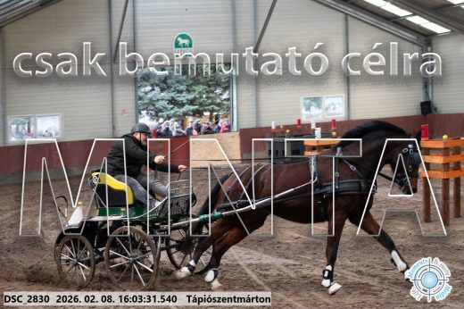 Mintakép 20260208-826