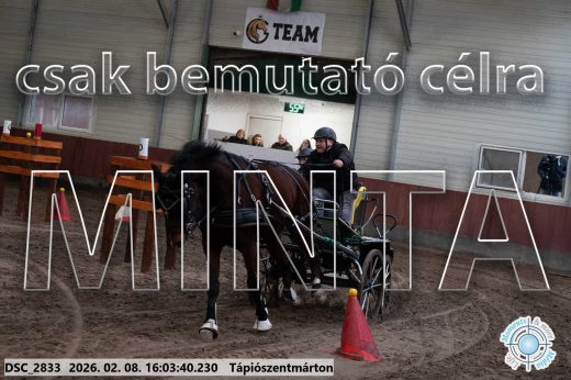 Mintakép 20260208-828
