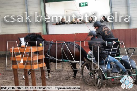 Mintakép 20260208-829