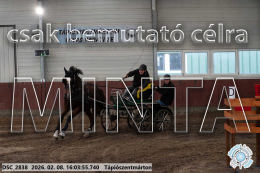 Mintakép 20260208-830