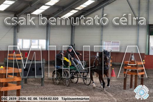 Mintakép 20260208-831
