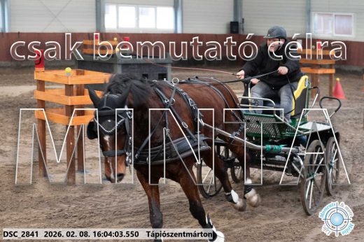 Mintakép 20260208-833