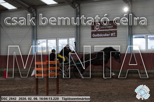 Mintakép 20260208-834