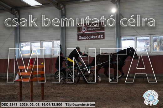 Mintakép 20260208-835